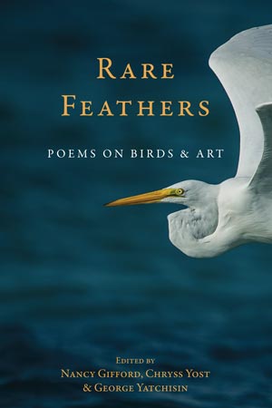 Rare Feathers: Poems of Birds & Art