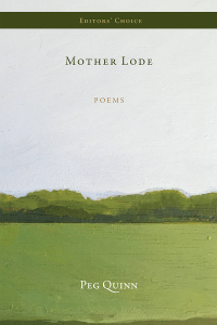 Mother Lode cover