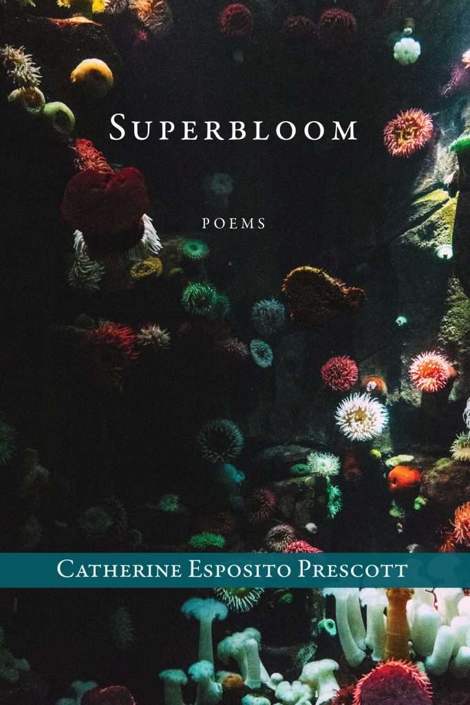 Superbloom: Poems by Catherine Esposito Prescott